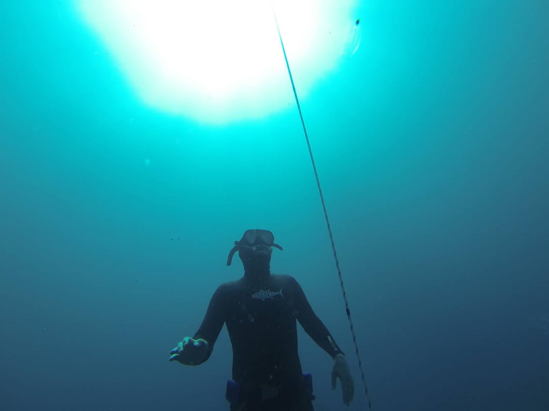 Freedive